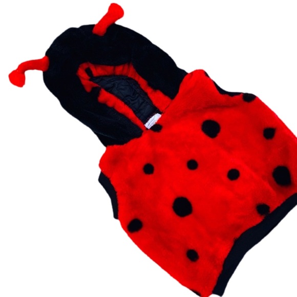 LADYBUG COSTUME 4pc NWT - Picture 2 of 15